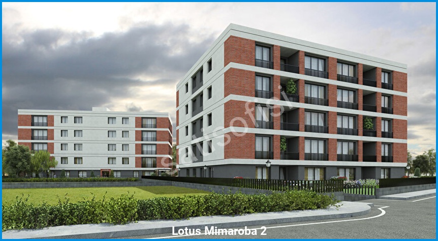 Lotus Mimaroba 2 2