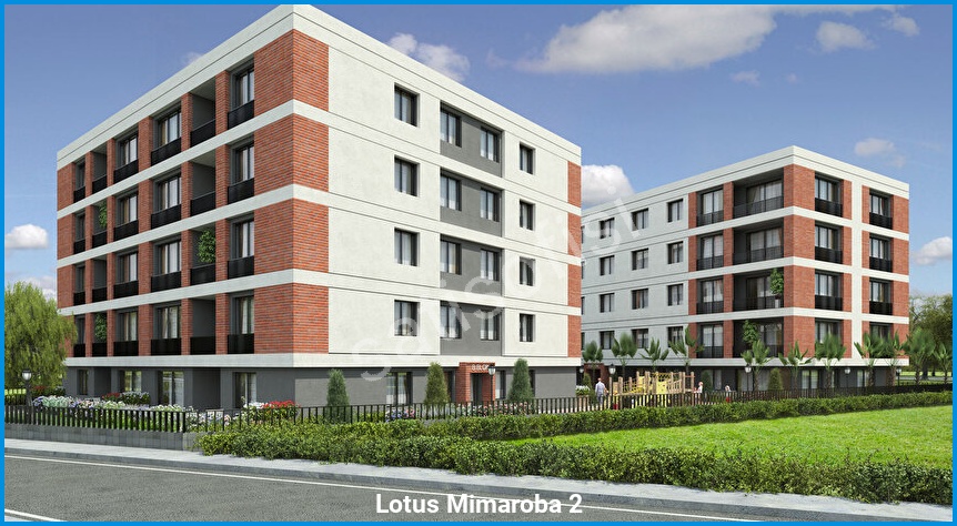 Lotus Mimaroba 2 3