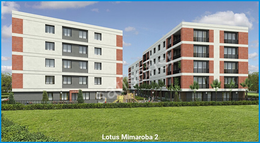 Lotus Mimaroba 2 4