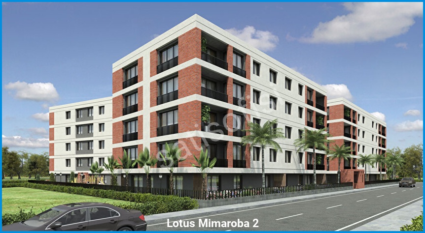 Lotus Mimaroba 2 5