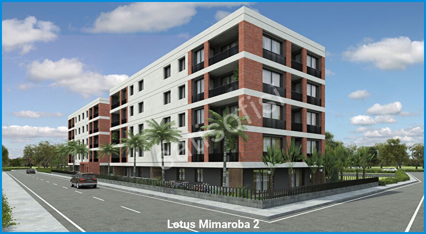 Lotus Mimaroba 2 6