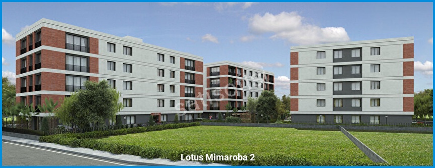 Lotus Mimaroba 2 7