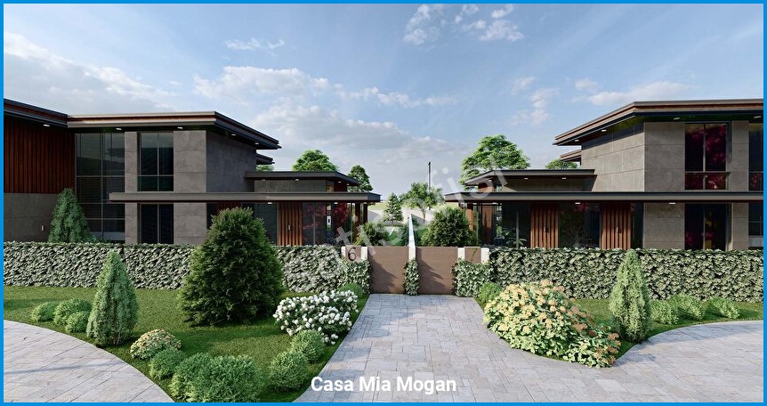 Casa Mia Mogan 5