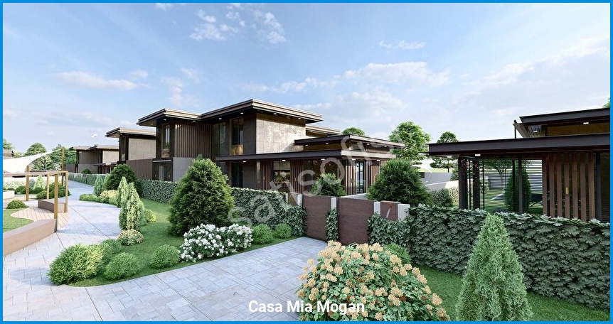 Casa Mia Mogan 7