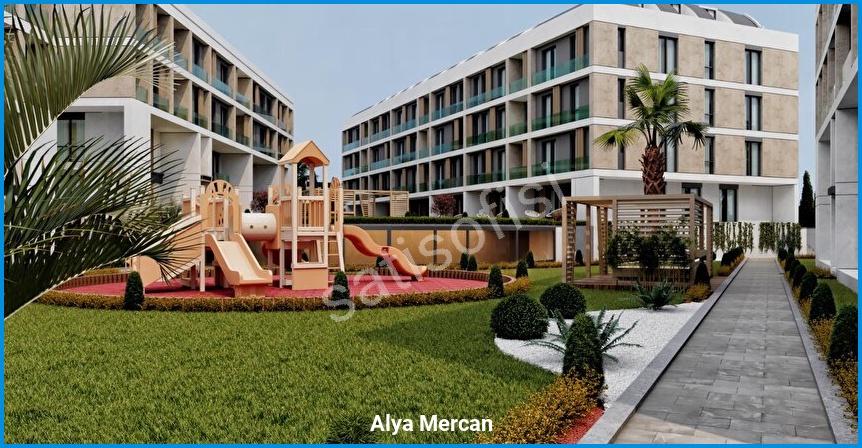 Alya Mercan 3