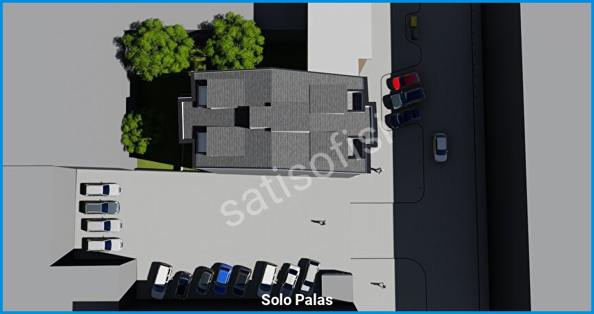 Solo Palas 4