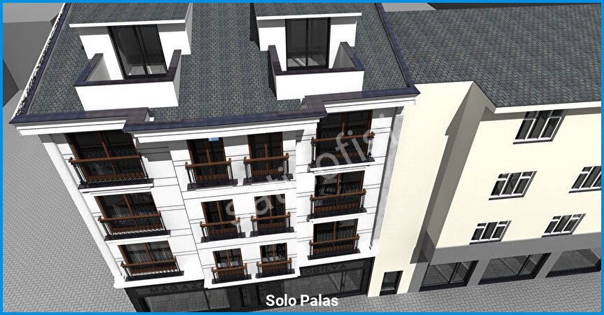Solo Palas 6