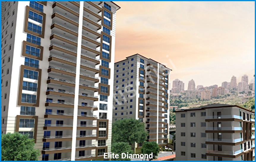 Elite Diamond görsel 3