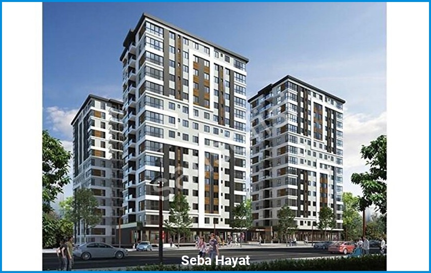 Seba Hayat görsel 2