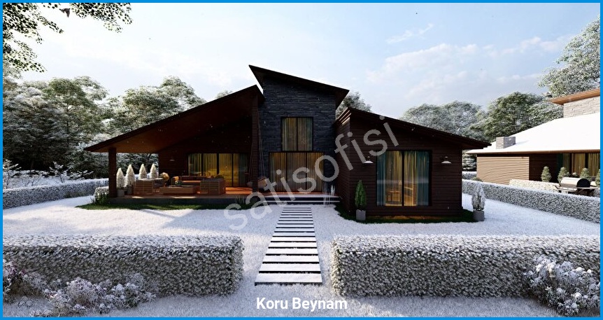 Koru Beynam