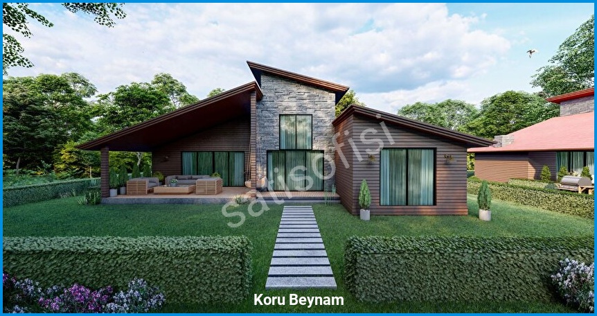 Koru Beynam görsel 7
