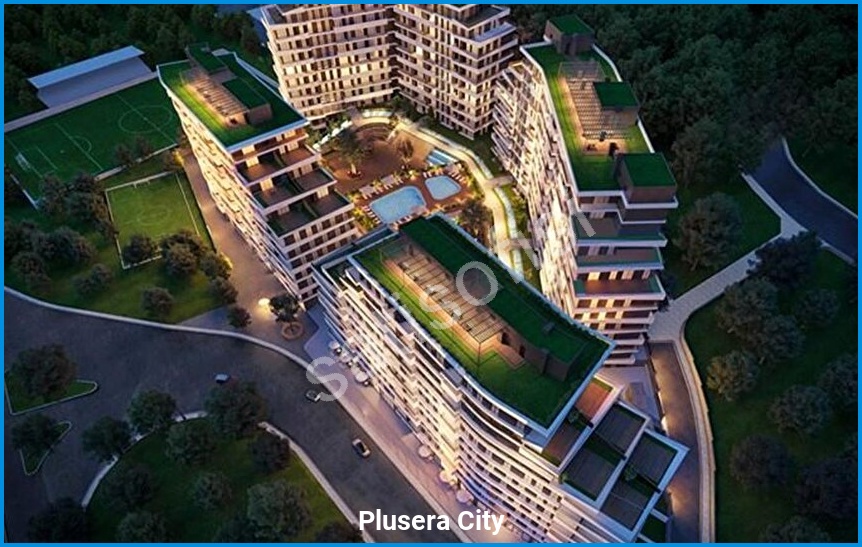 Plusera City 3