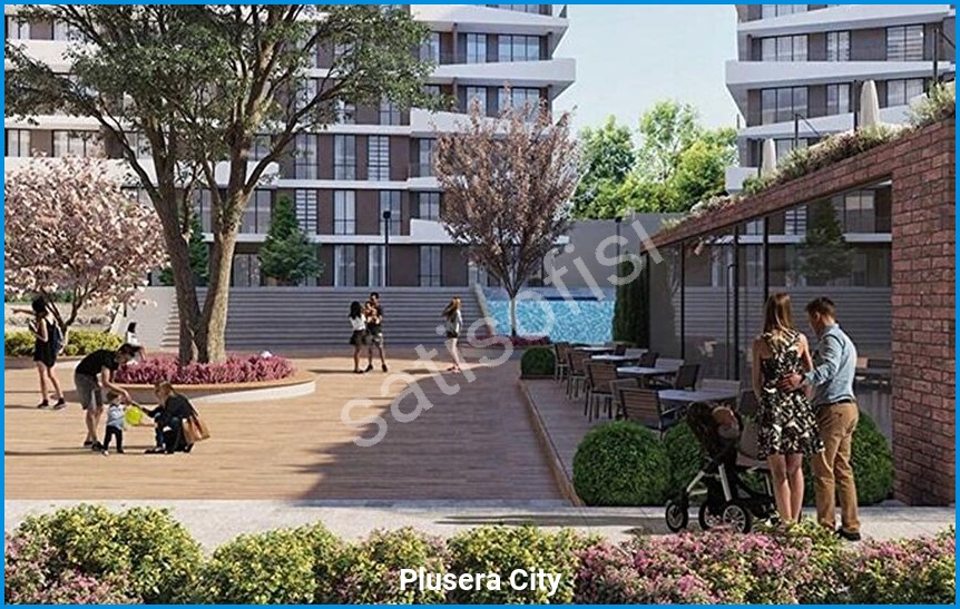 Plusera City 6