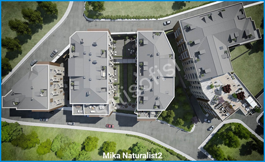 Mika Naturalist2
