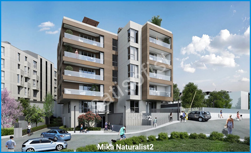 Mika Naturalist2 görsel 3