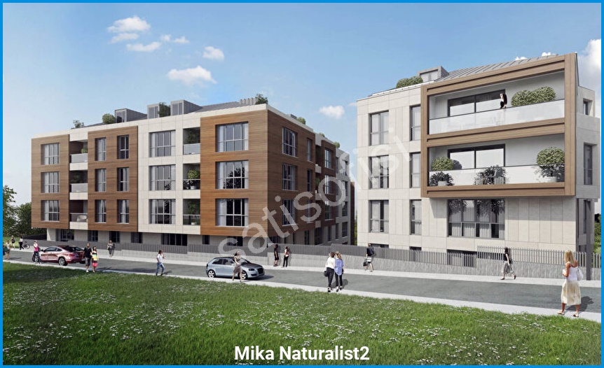 Mika Naturalist2 görsel 5