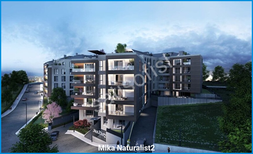 Mika Naturalist2 görsel 7