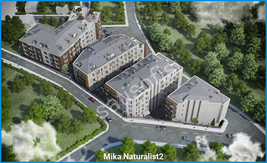 Mika Naturalist2 görsel 8