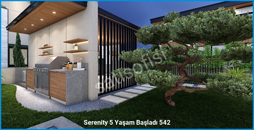 Serenity 5 görsel 10