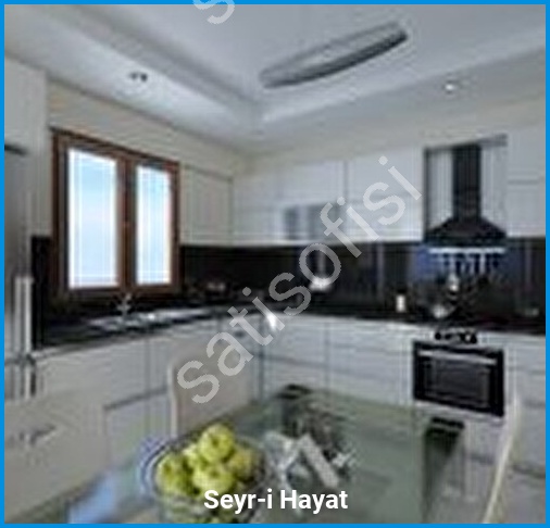 Seyr-i Hayat 4