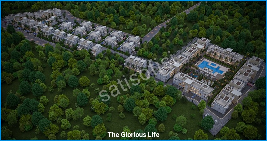 The Glorious Life görsel 5