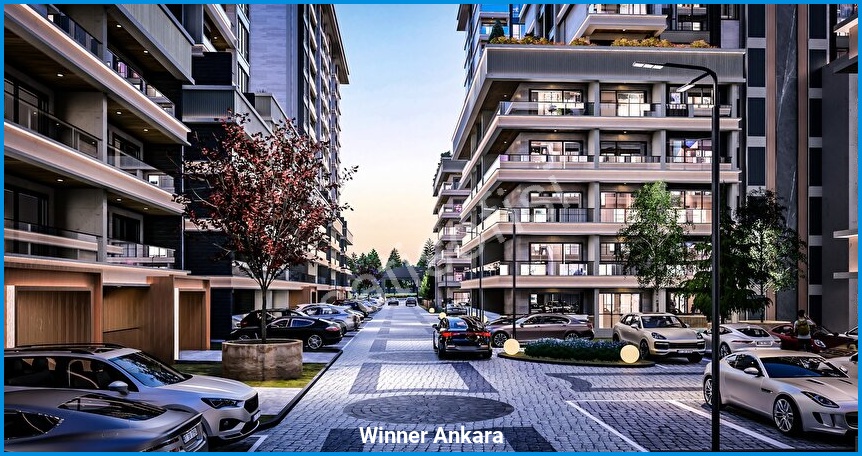 Winner Ankara — görsel