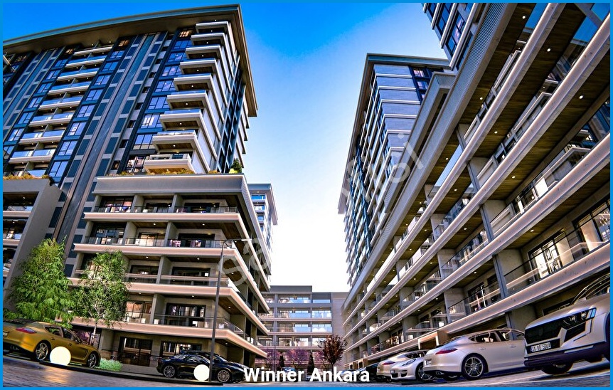 Winner Ankara — görsel