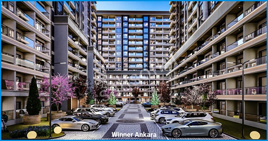 Winner Ankara — görsel