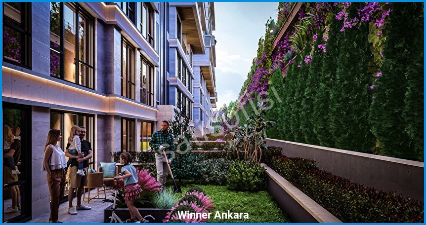 Winner Ankara — görsel