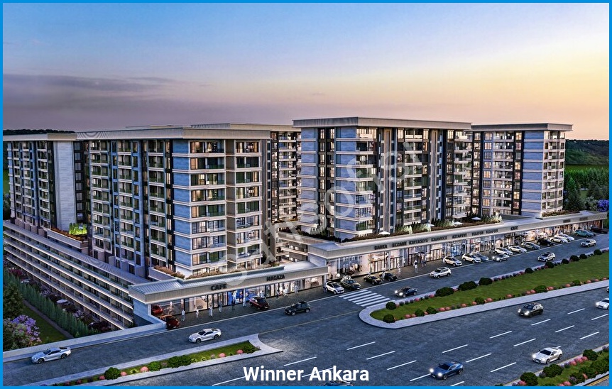Winner Ankara — görsel