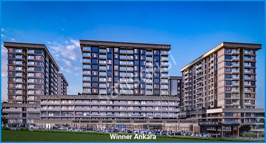 Winner Ankara — görsel