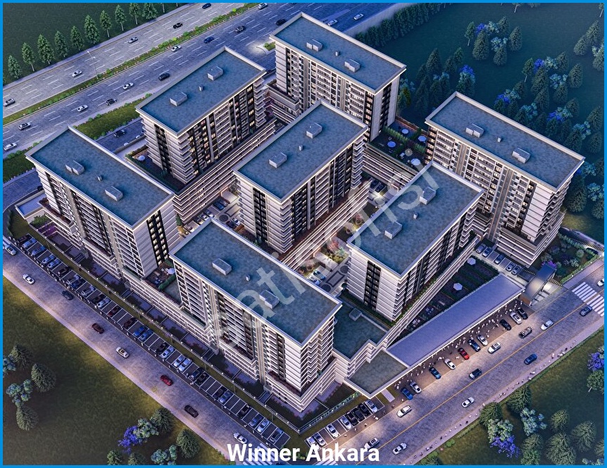 Winner Ankara — görsel