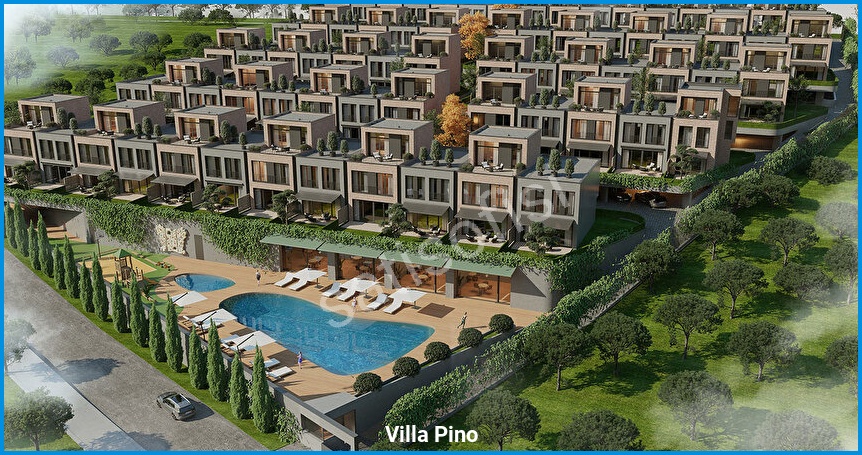 Villa Pino 4