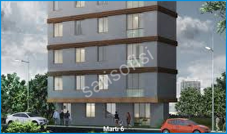 Martı 6