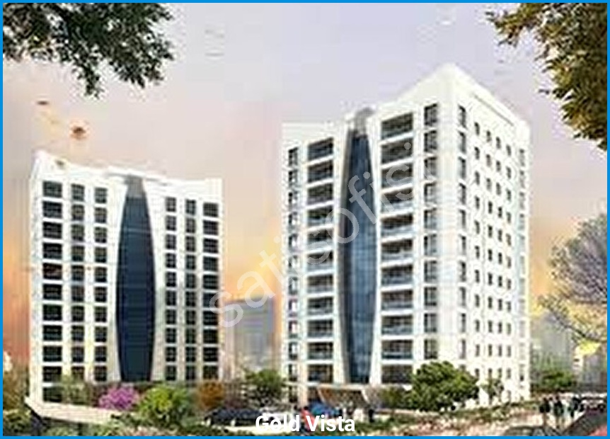 Gold Vista 3