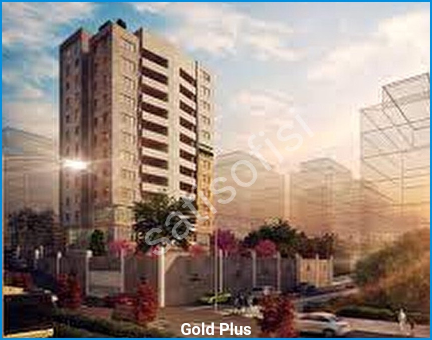 Gold Plus 2