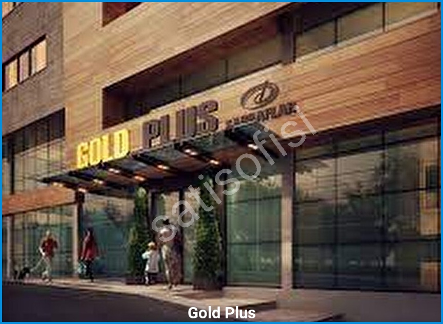 Gold Plus 3