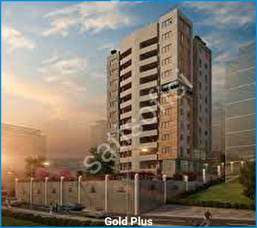 Gold Plus 4