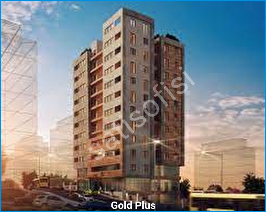 Gold Plus 5