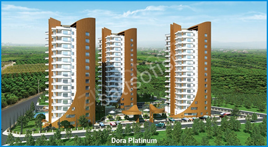 Dora Platinum