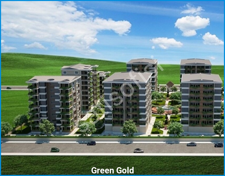 Green Gold 5