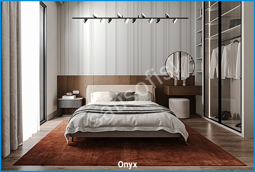 Onyx Ankara görsel 17