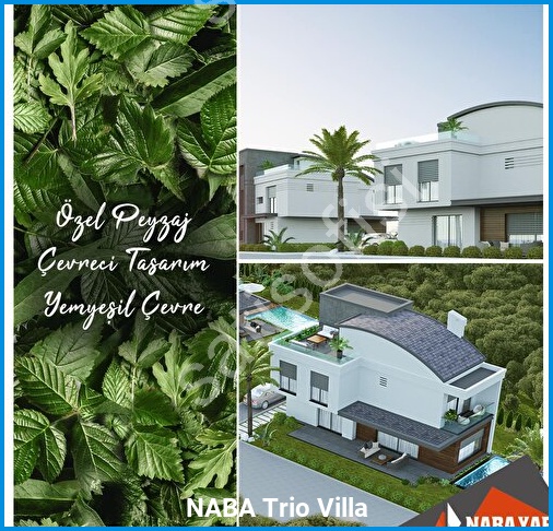 NABA Trio Villa 2