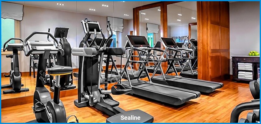 Sealine 5