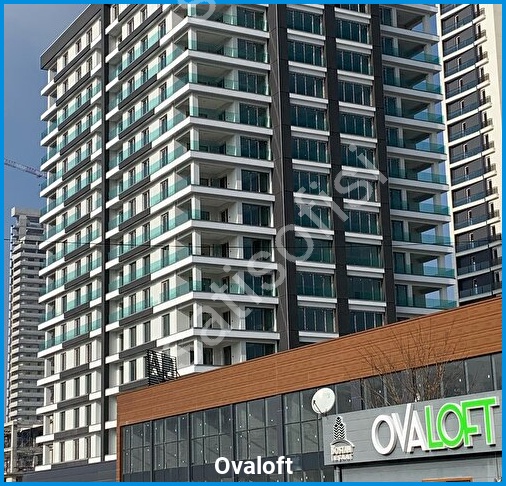 Ovaloft 2