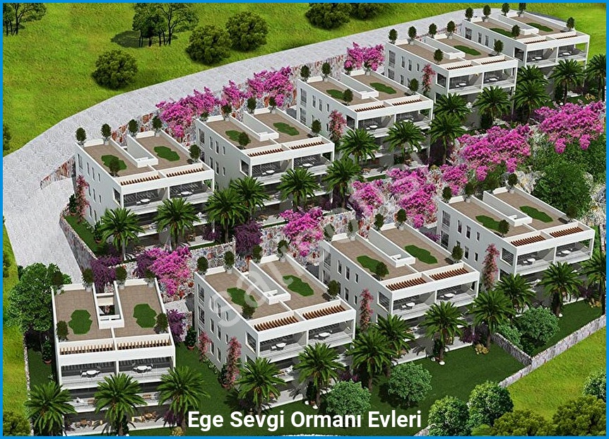 Ege Sevgi Ormanı Evleri