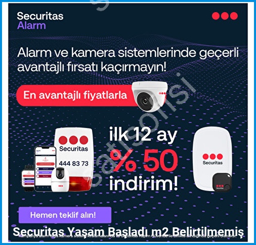 Securitas görsel 3