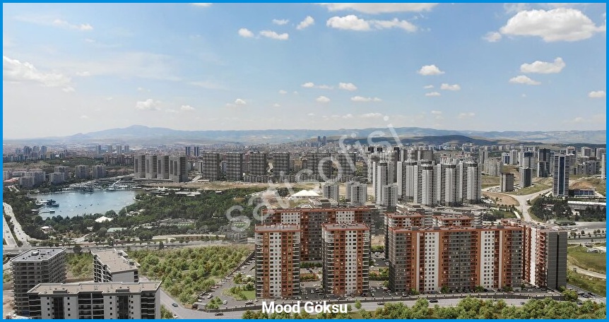 Mood Göksu görsel 10