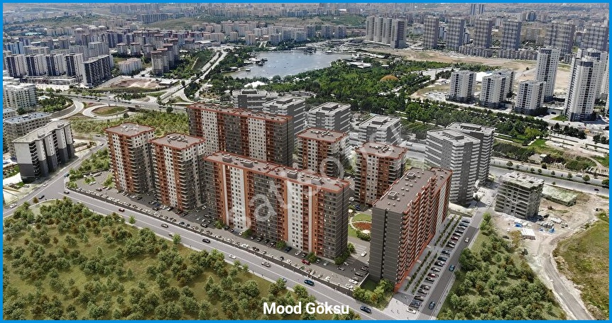 Mood Göksu görsel 8