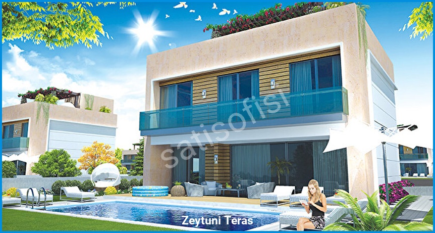 Zeytuni Teras 3